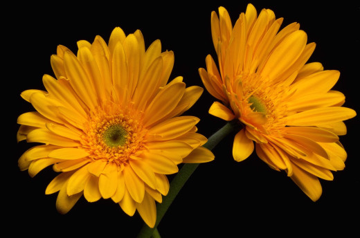 606537 (a): :2800x1850
